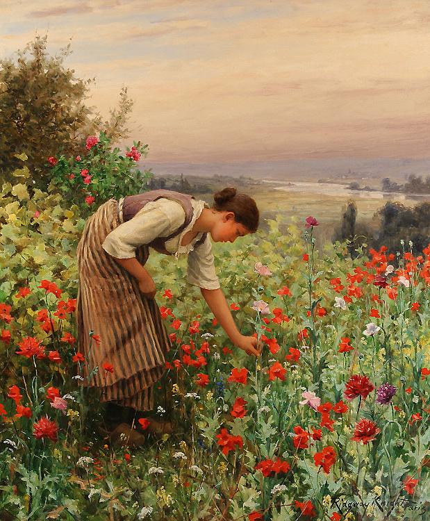 Daniel Ridgeway Knight Girl Picking Poppies Spain oil painting art